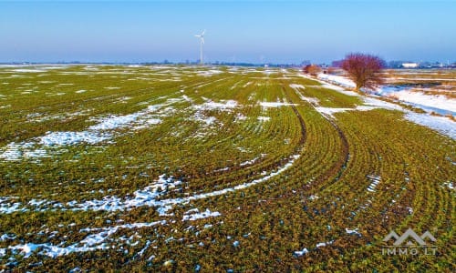 Un terrain près de Palanga