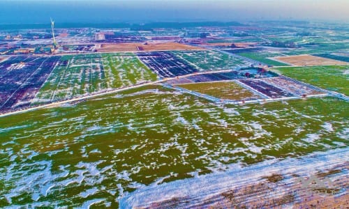 Un terrain près de Palanga