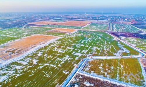 Un terrain près de Palanga