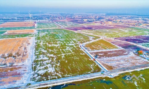 Un terrain près de Palanga