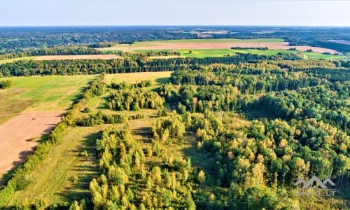 Terrain pour ferme