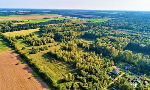 Terrain pour ferme