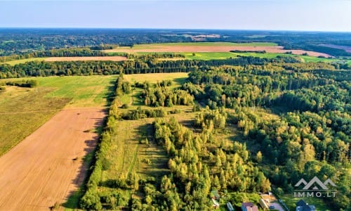 Terrain pour ferme