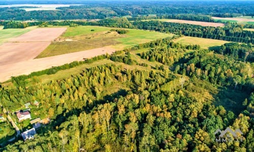 Terrain pour ferme