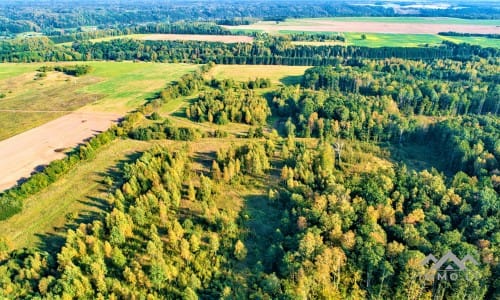 Terrain pour ferme