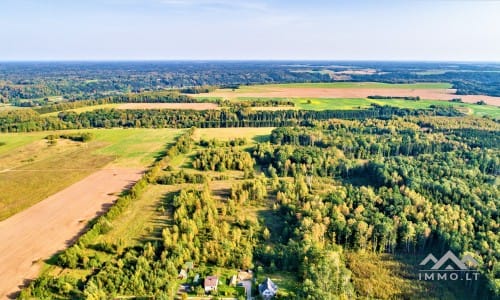 Land Plot For Homestead