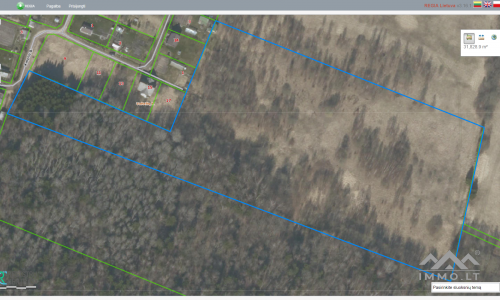 Land Plot For Homestead