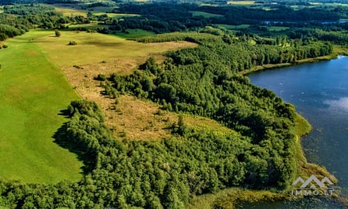 Land Plots by Suviekas Lake