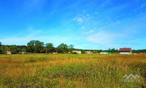 Baugrundstück in Nimmersatt