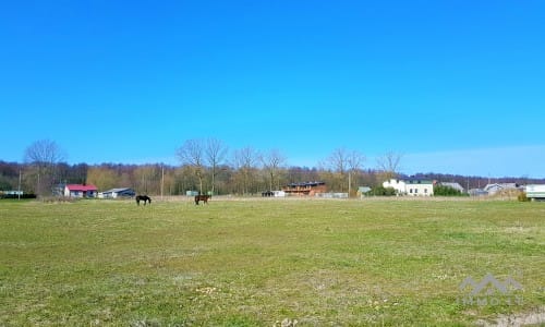 Baugrundstück in Nimmersatt