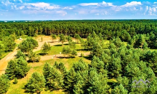 Construction Plot Near The Curonian Lagoon