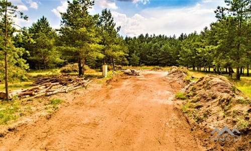 Construction Plot Near The Curonian Lagoon