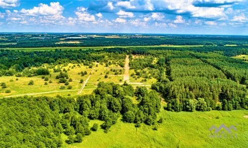 Construction Plot Near The Curonian Lagoon