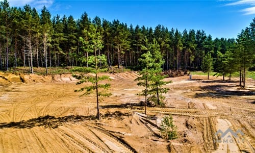 Construction Plot Near The Curonian Lagoon