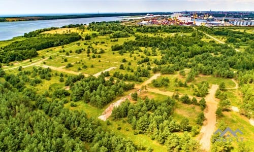 Construction Plot Near The Curonian Lagoon