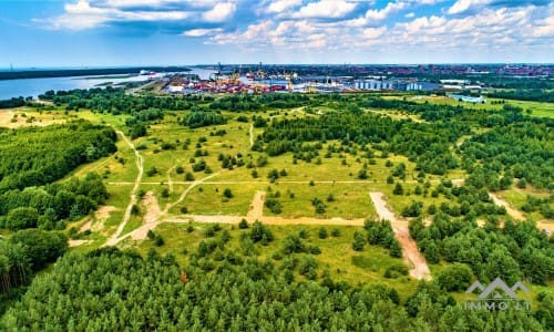 Construction Plot Near The Curonian Lagoon