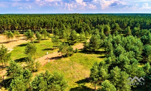 Construction Plot Near The Curonian Lagoon