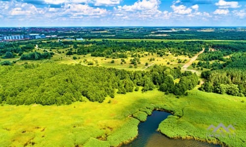 Construction Plot Near The Curonian Lagoon