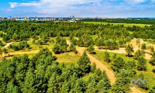 Construction Plot Near The Curonian Lagoon