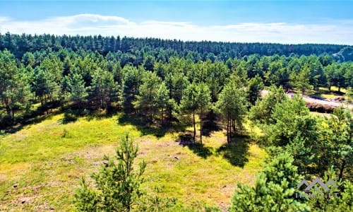 Baugrund am Kurischen Haff