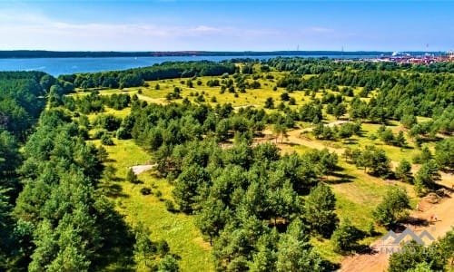 Construction Plot Near The Curonian Lagoon