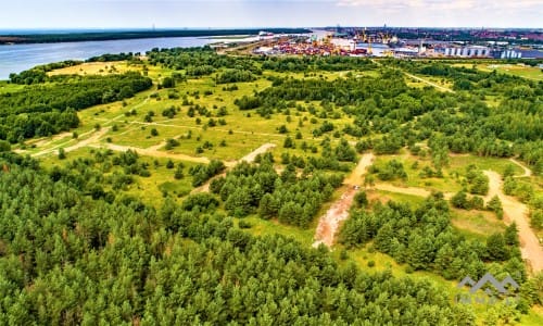 Construction Plot Near The Curonian Lagoon