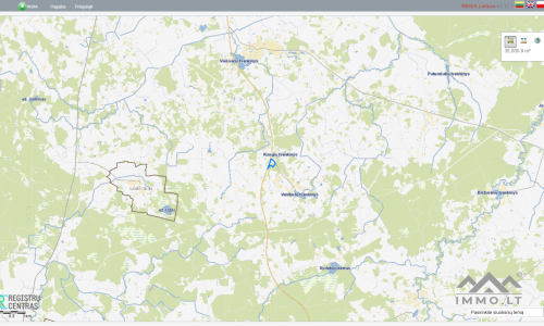 Land Plots With Forest