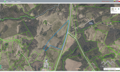 Land Plots With Forest