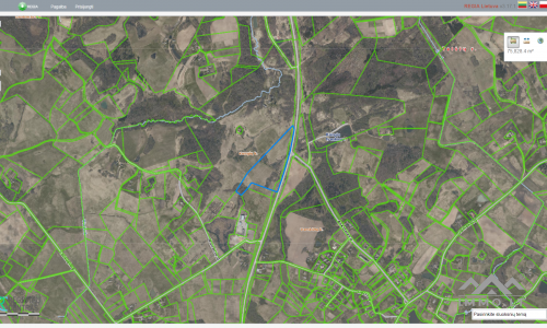 Land Plots With Forest