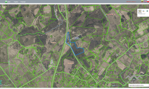 Land Plots With Forest