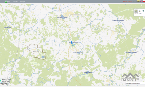 Land Plots With Forest