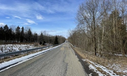 Terrains avec forêt