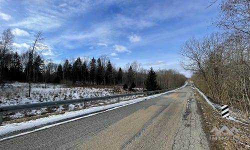 Terrains avec forêt