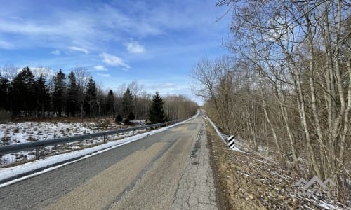 Terrains avec forêt