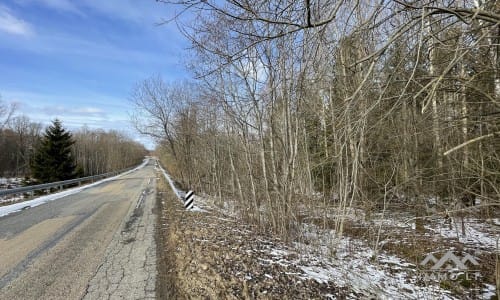 Terrains avec forêt