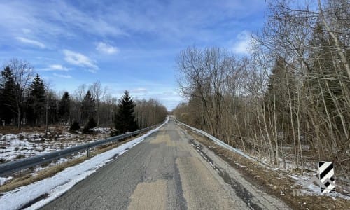 Terrains avec forêt