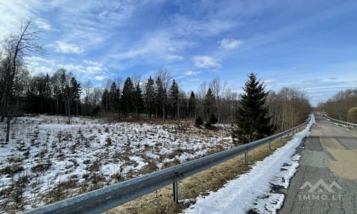 Terrains avec forêt