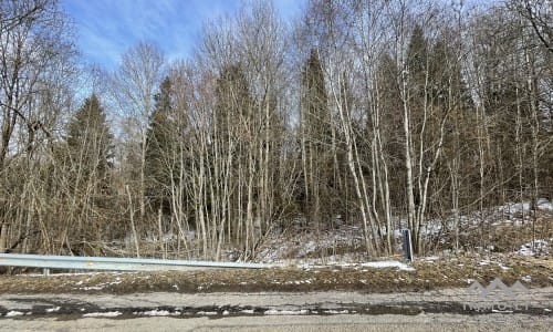 Terrains avec forêt