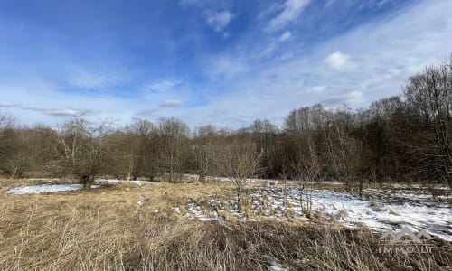 Terrains avec forêt