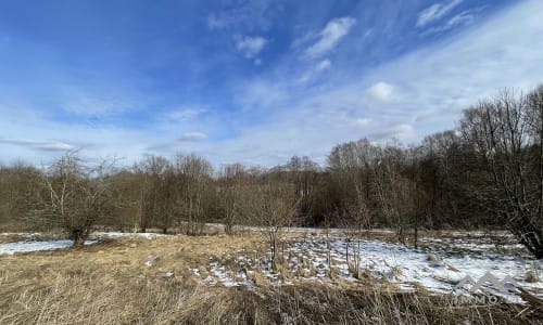 Terrains avec forêt