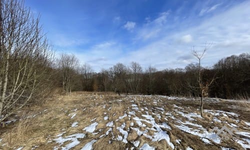 Terrains avec forêt