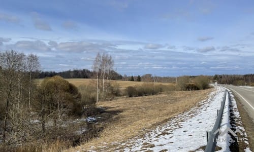 Terrains avec forêt