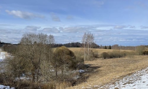 Terrains avec forêt