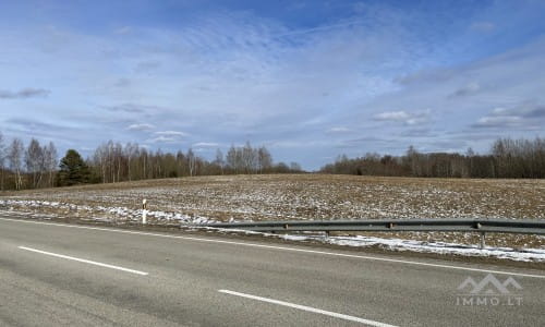 Terrains avec forêt