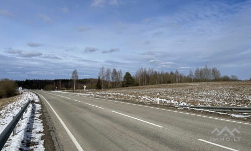 Land Plots With Forest