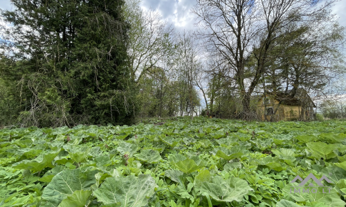 Une vieille ferme près de Kryžkalnis