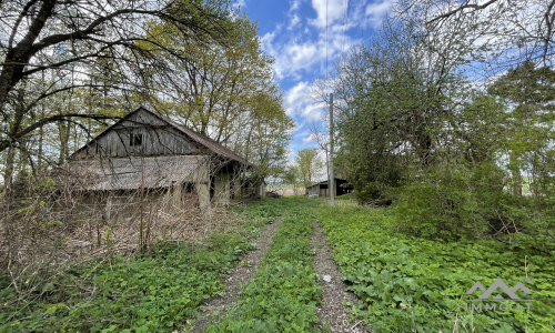 Une vieille ferme près de Kryžkalnis