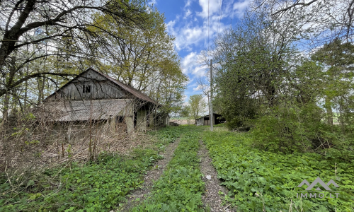 Altes Gehöft in der Nähe von Kryžkalnis