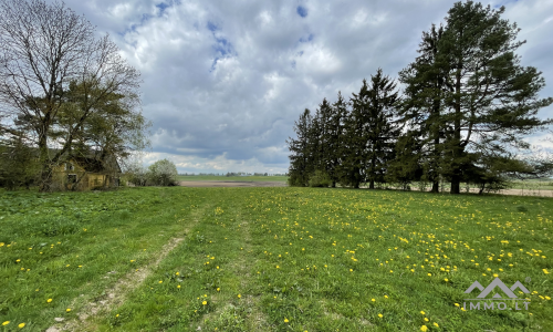 Une vieille ferme près de Kryžkalnis