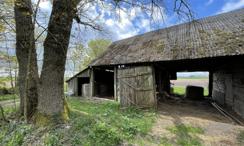 Une vieille ferme près de Kryžkalnis